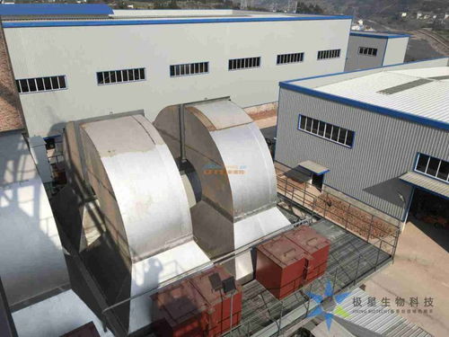 極星生物科技 暢銷醫藥針劑專用活性炭的技術優勢與應用前景