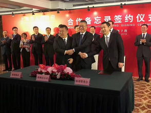 特斯拉上海超級(jí)工廠落地，年產(chǎn)50萬輛開啟中國(guó)新能源汽車新篇章