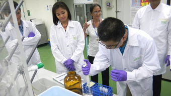 技術(shù)交流共促發(fā)展 國(guó)際水稻所深化合作助力全球糧食安全